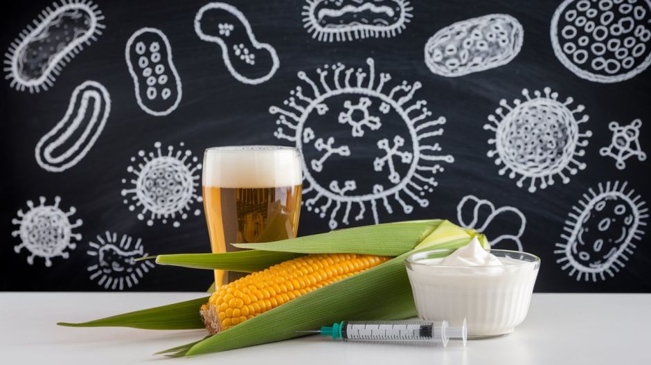 So vielfältig wie die Wissenschaften aus denen sich die Biotechnologie bedient, sind auch ihre Produkte.