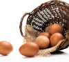 Fresh farm eggs. Fresh farm eggs.