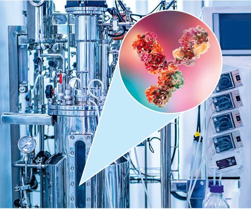Bioreaktor mit einem vergrößert dargestellten Antikörper; Biotechnologie, Biopharmazie, Biopharmazeutika, Biosimilars, Biologicals