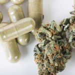Cannabis Pflanze Kapseln Adobe Stock Charlottelake